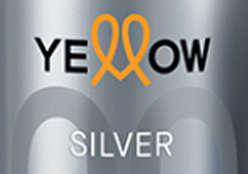 BRAND: Yellow Silver Color (Ye Color)